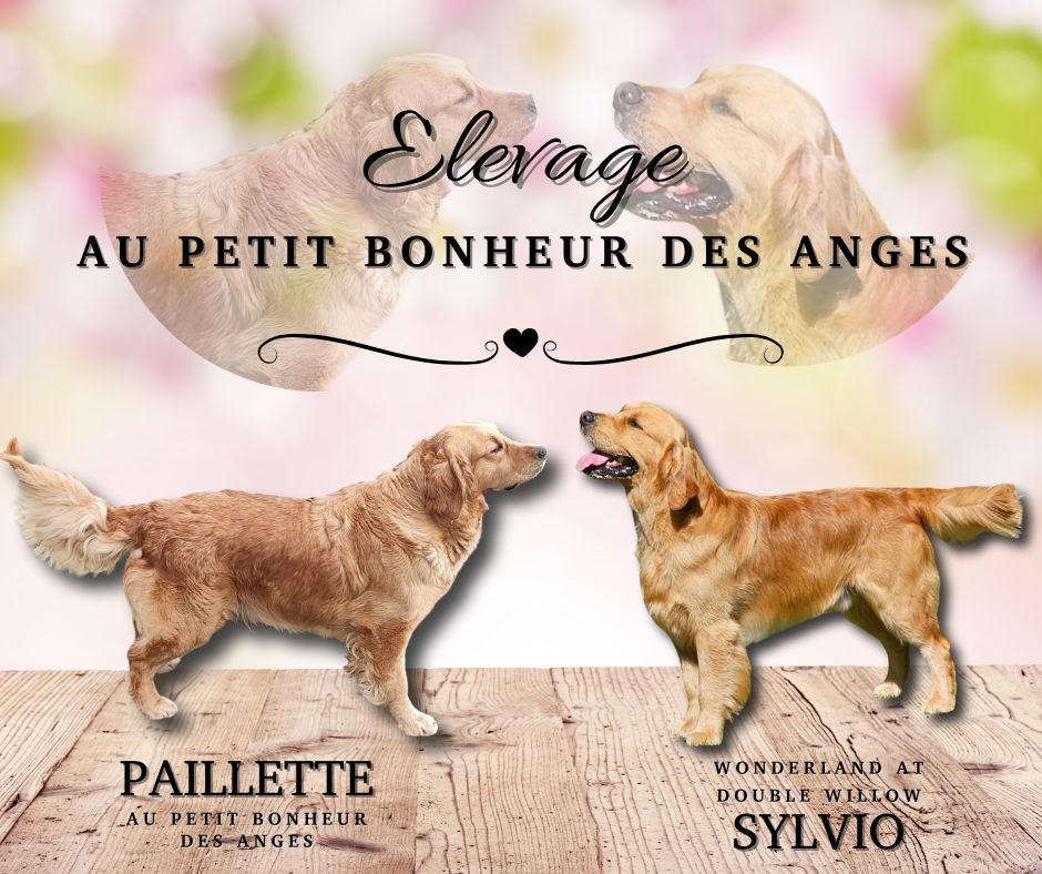 Au Petit Bonheur Des Anges - NOS MARIAGES PREVUS AU PRINTEMPS